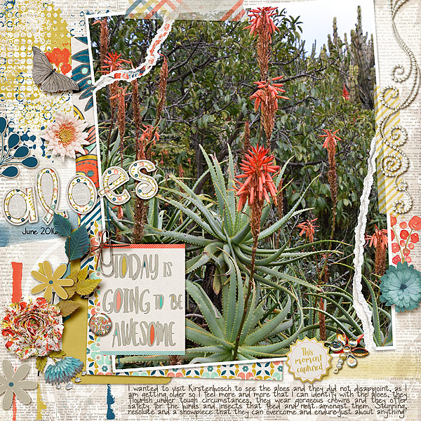 Aloes