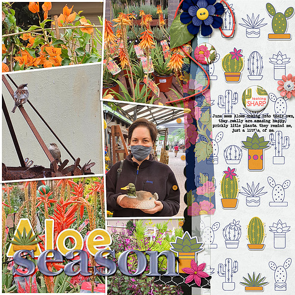 Aloes
