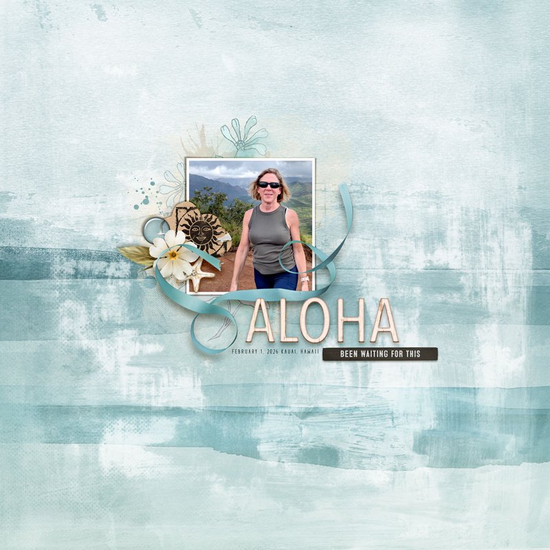 ALOHA.jpg