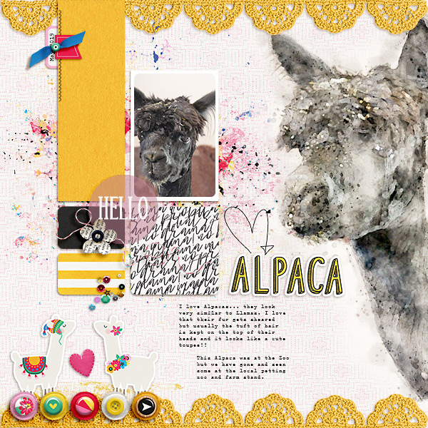 Alpaca