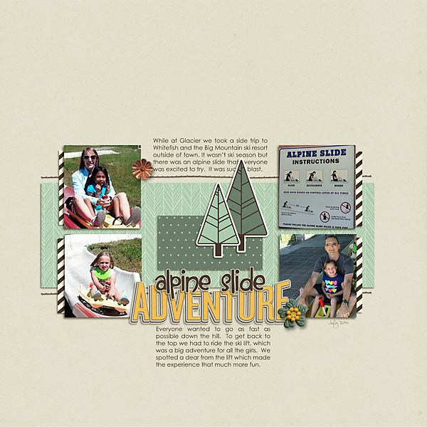 alpine slide adventure