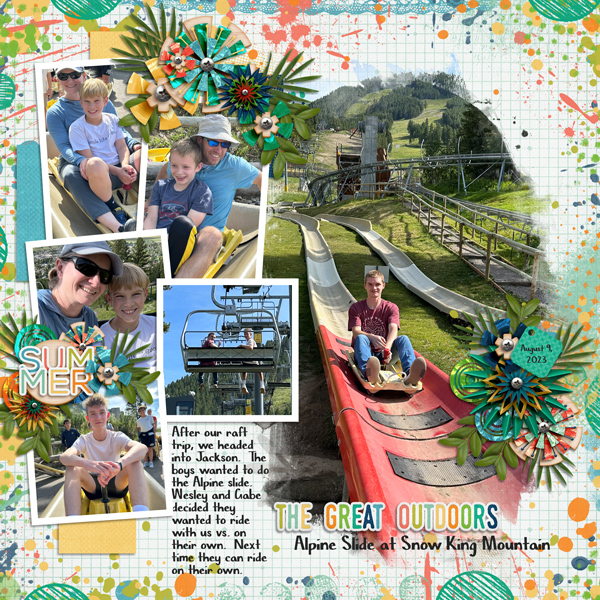 Alpine Slide Jackson