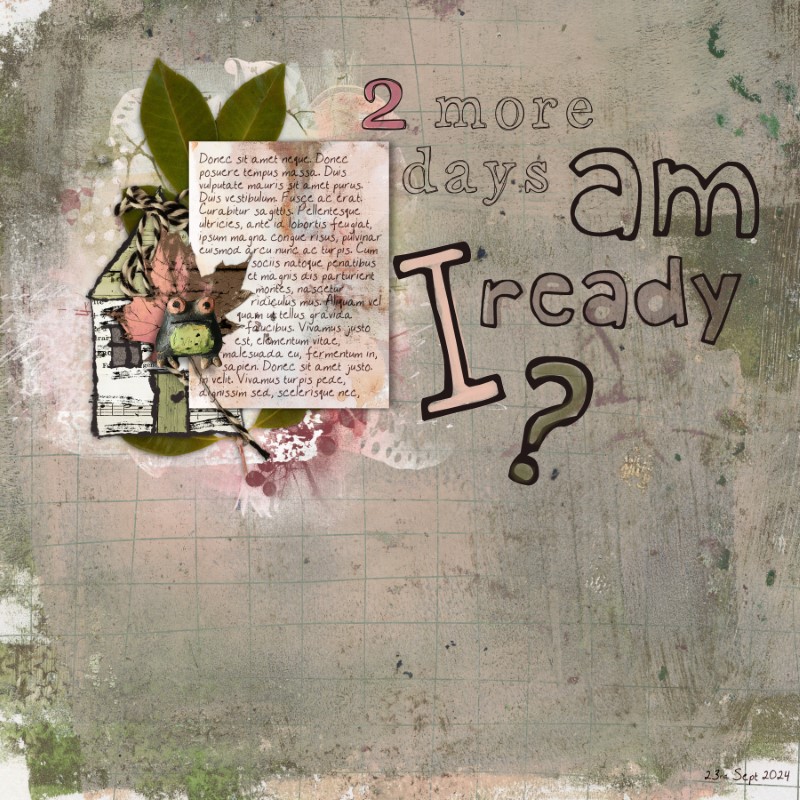 Am I Ready?