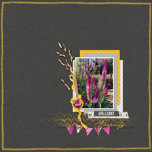 Amaranth