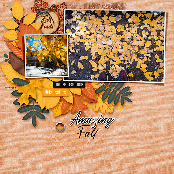 Amazing Fall
