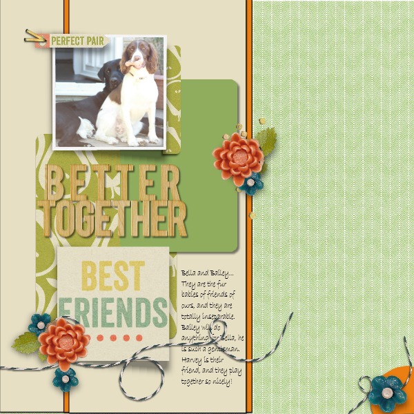 Amber Labau Template Challenge