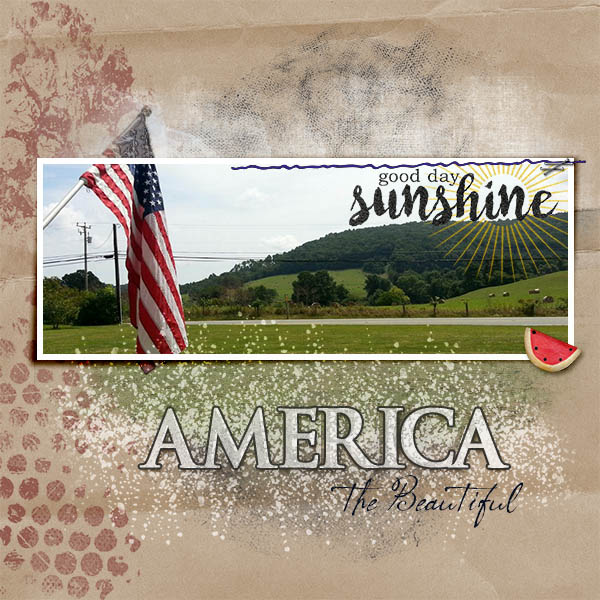America the beautiful