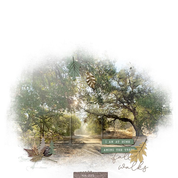 Among the Trees