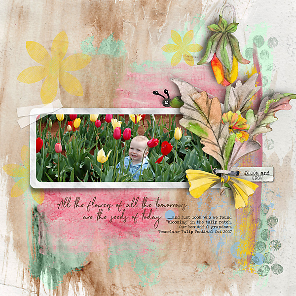 Amongst-the-tulips