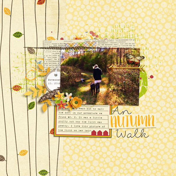 An Autumn Walk