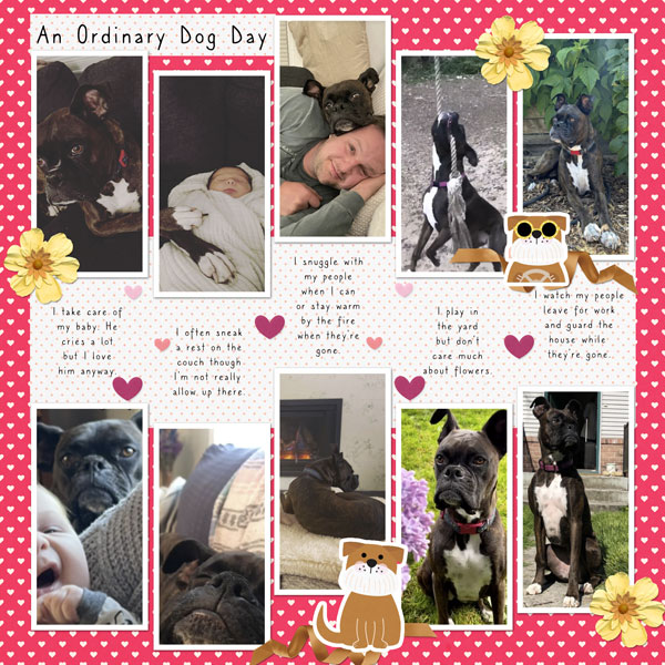 An-Ordinary-Dog-Day