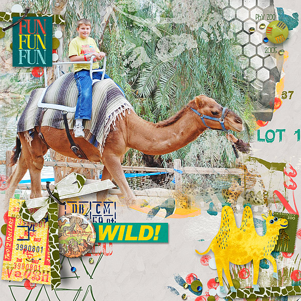 Andrew-camel
