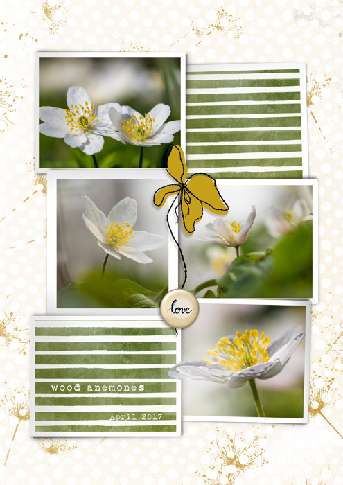 Anemones