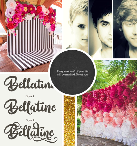Angiekey's Mood Board (MOC #3)