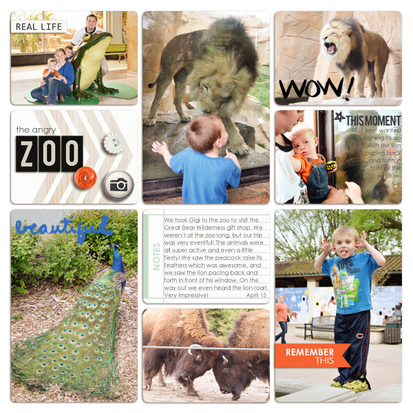 Angry Zoo