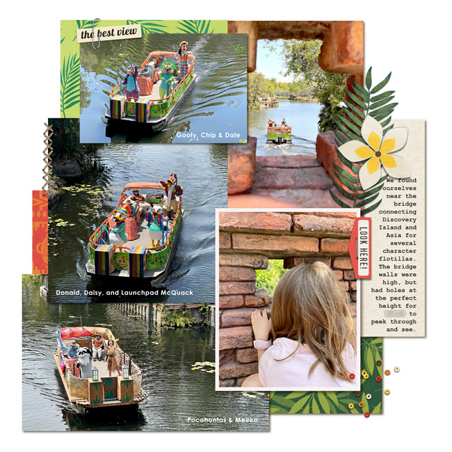 Animal Kingdom: Character Flotillas (2021)