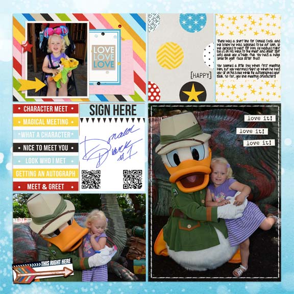 Animal Kingdom - Donald Duck