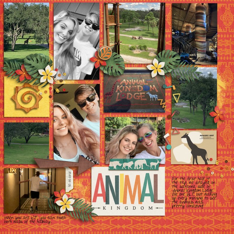 Animal Kingdom Lodge
