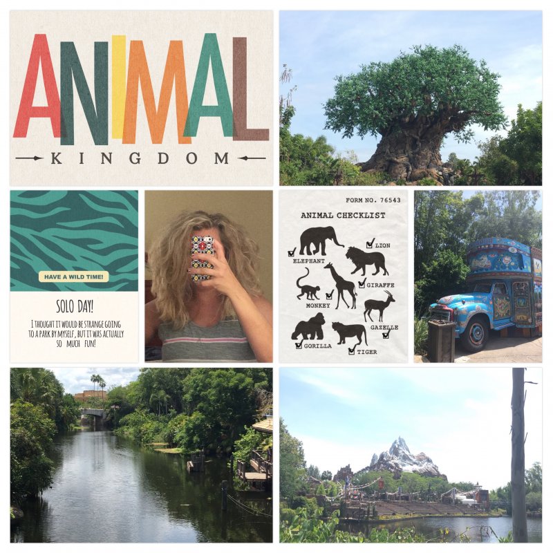 Animal Kingdom2016