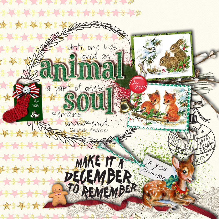 Animal Soul