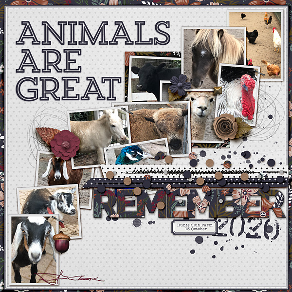 Animals are Great