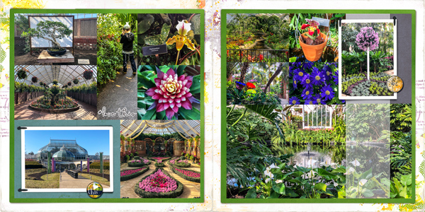 Another trip to Phipps