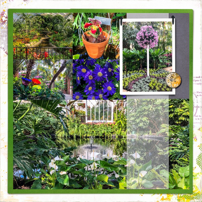 Another trip to Phipps_right