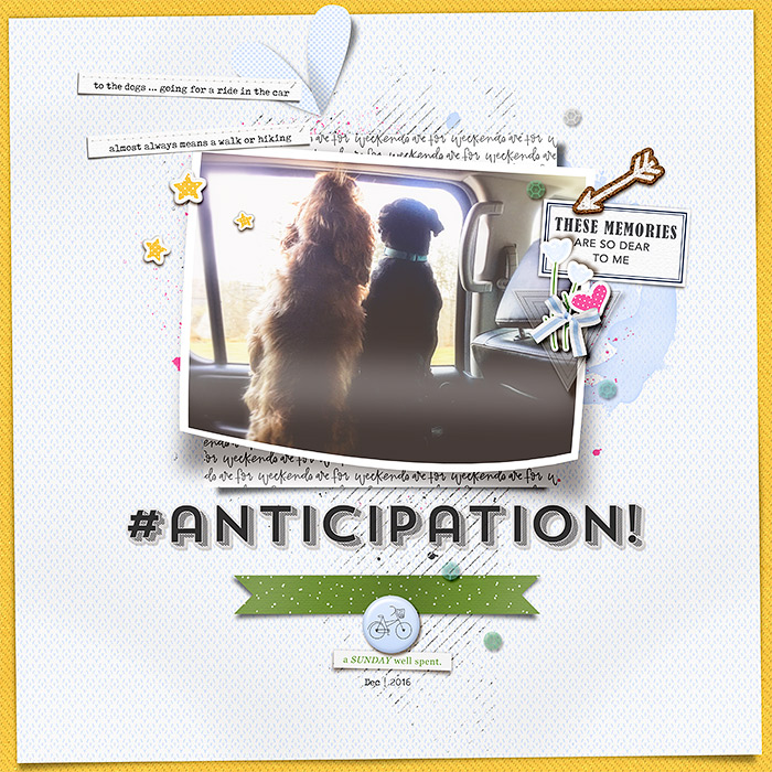 Anticipation