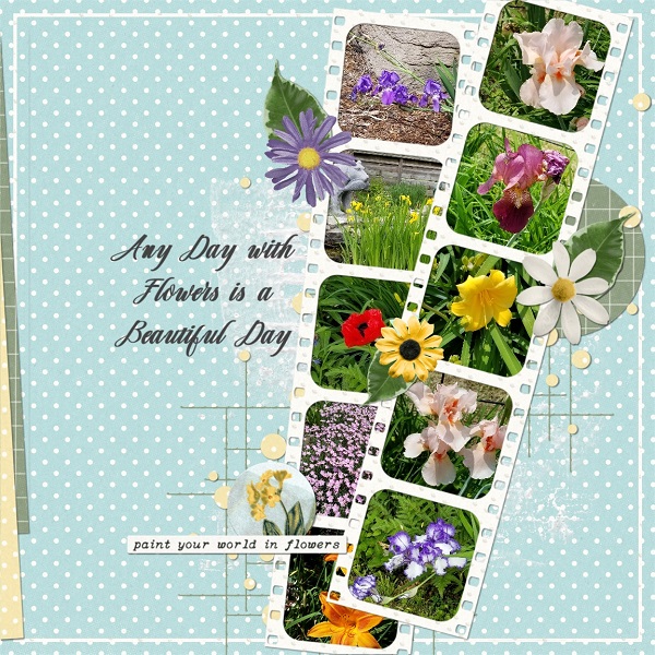 Any Day With Flowers