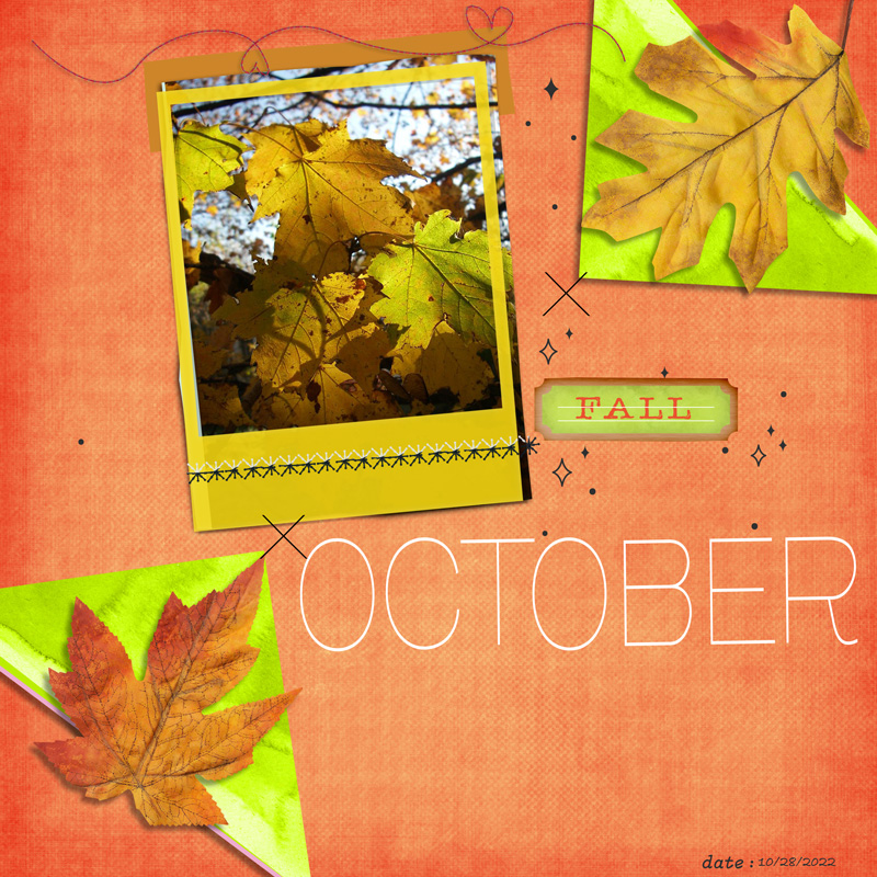APennington_Oct22-Tem_fallp