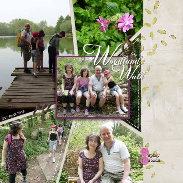 Apley Wood