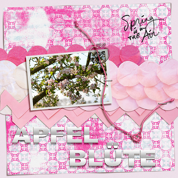 Apple Blossom