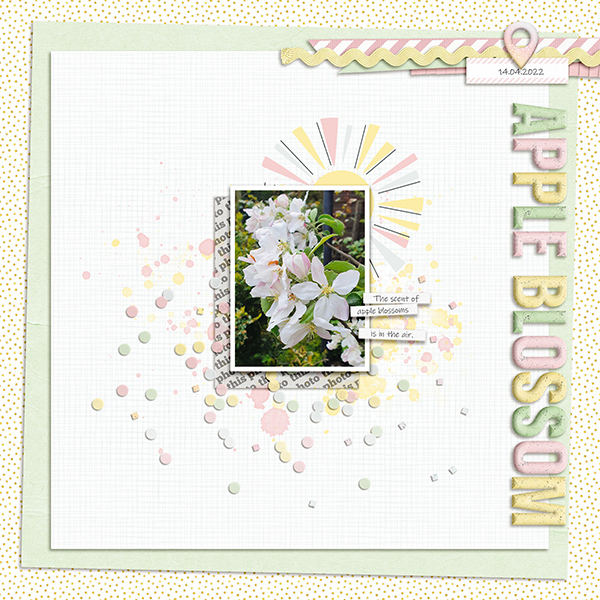Apple Blossom