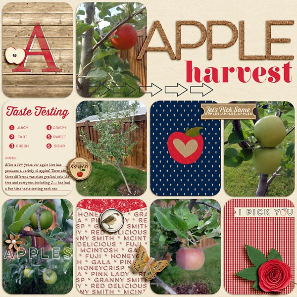 Apple Harvest
