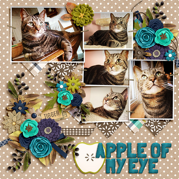 apple of my eye