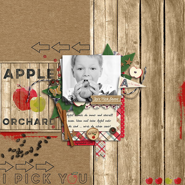 Apple Orchard