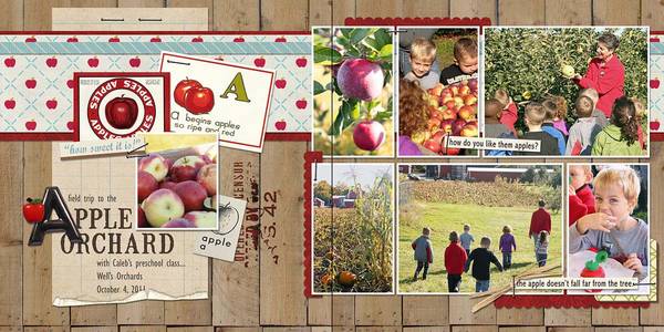 Apple Orchard