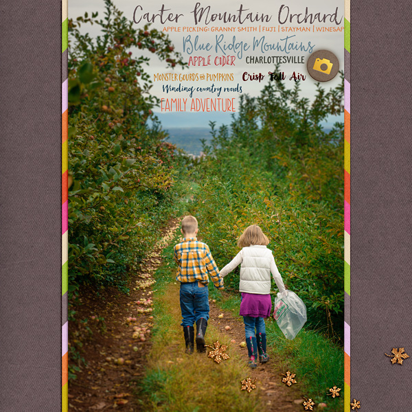 apple picking