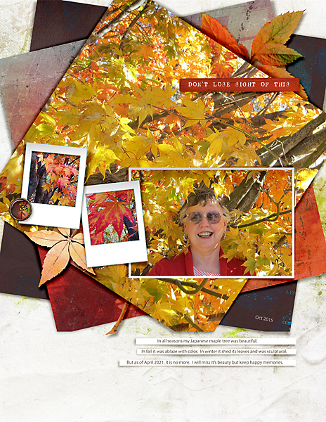 Apr2021_Journaling-Chall_flowersgal_web