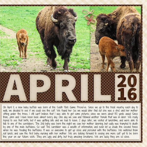 April 2016 - Buffalo - right side