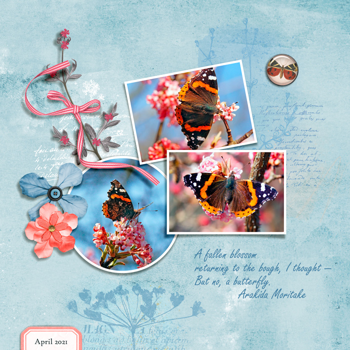 April 2021 Lynn Grieveson Design Challenge