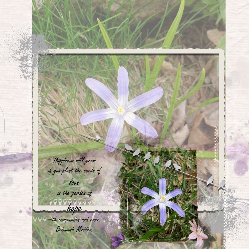April photography Challenge Hope