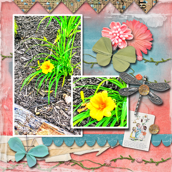 April Photography Challenge
