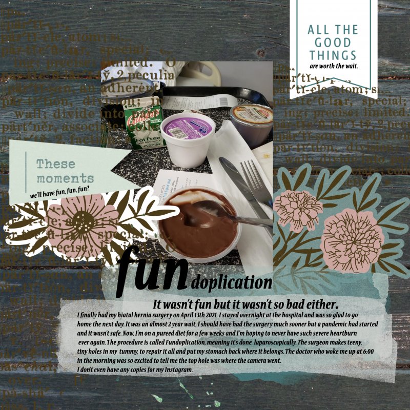 April Sahin Studios Challenge Fun In The Fundoplication
