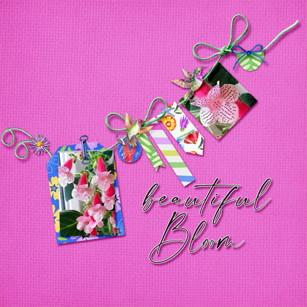 April2023_Scraplift