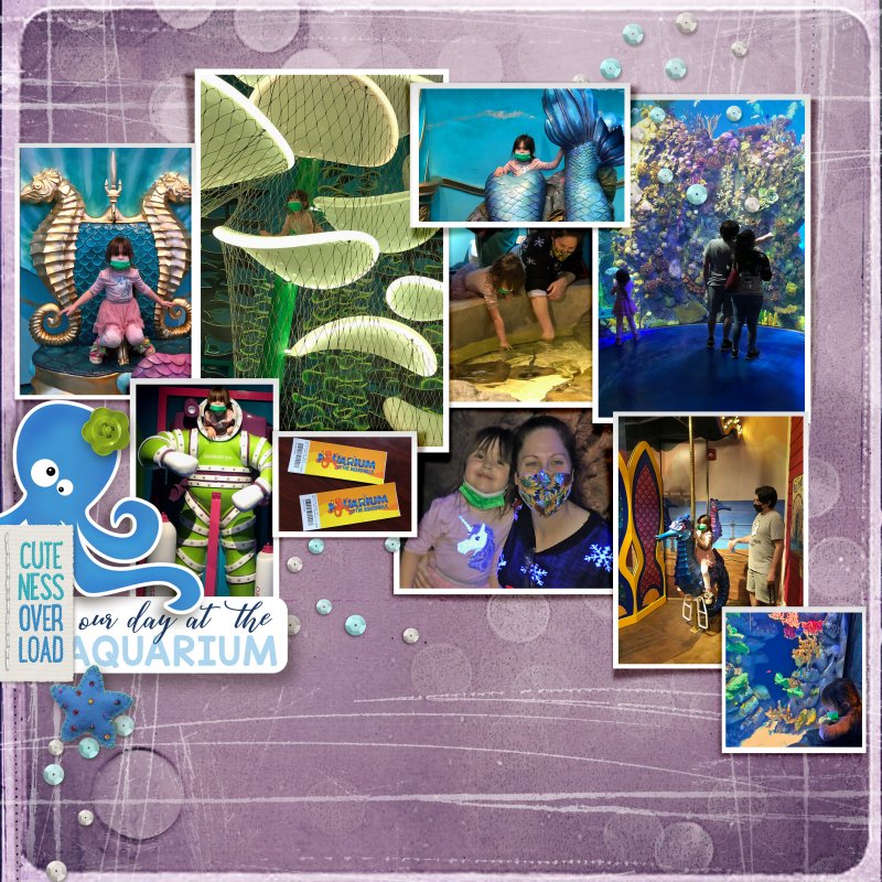 AQUARIUM 2