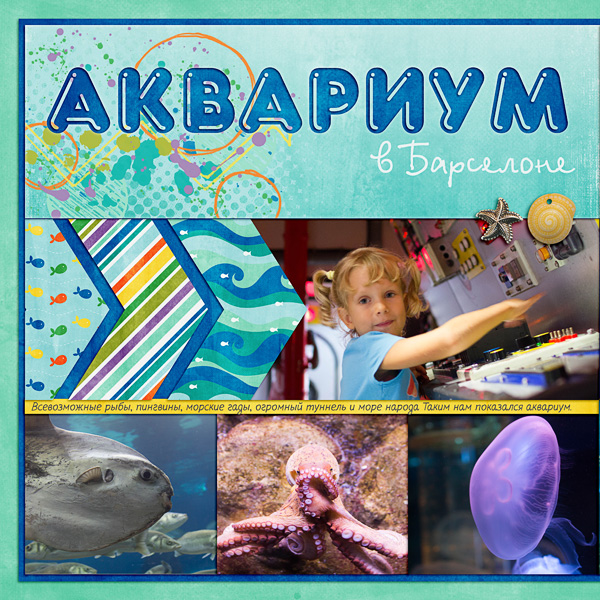 Aquarium - DP