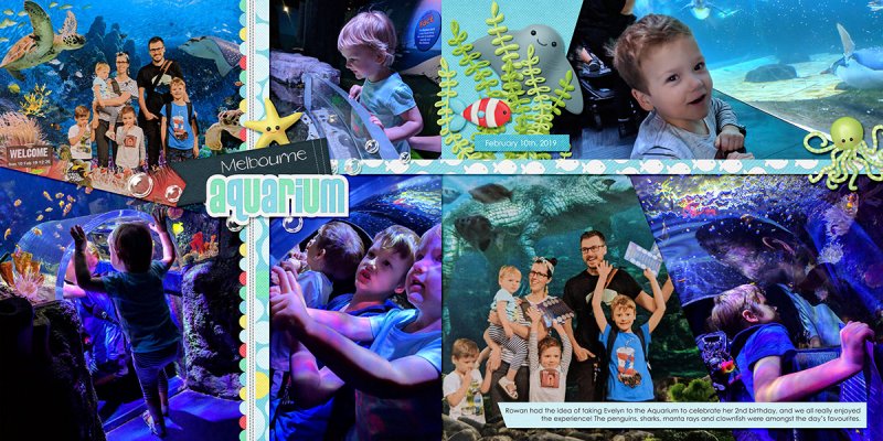 Aquarium Visit