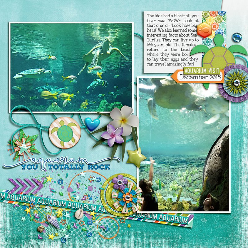 Aquarium you totally rock pg2