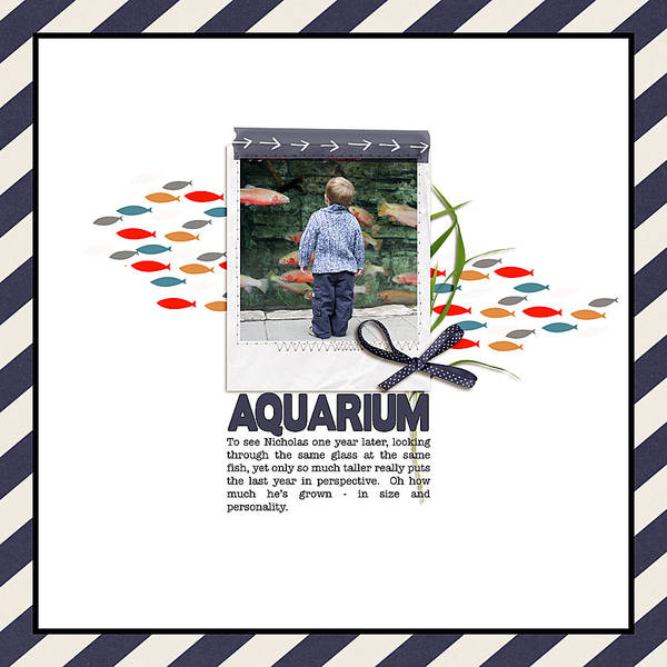 aquarium1